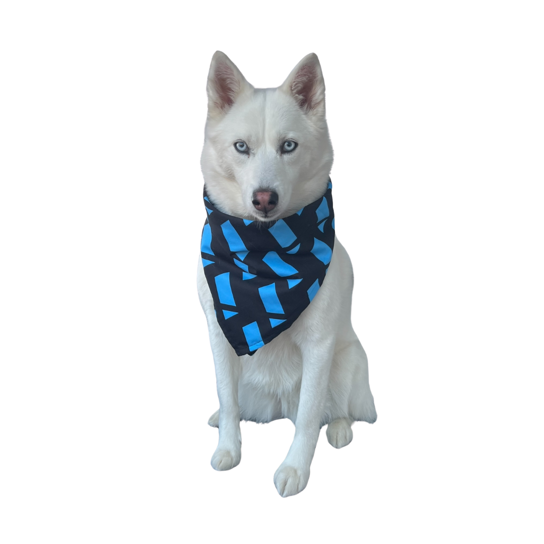 Bandana électrique pour chien/chat IDEAL avec motif de marque